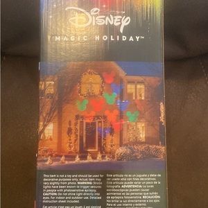 Disney light show